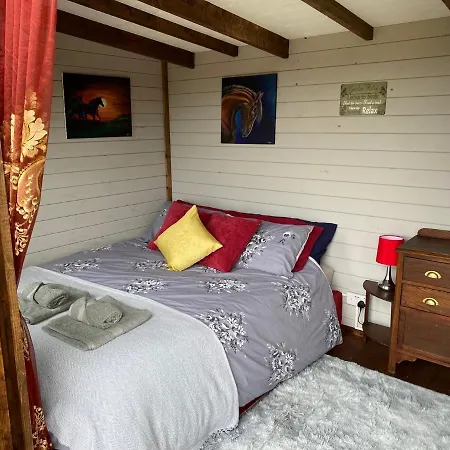 Cherry Tree Glamping Lodge Wellington  Exterior photo