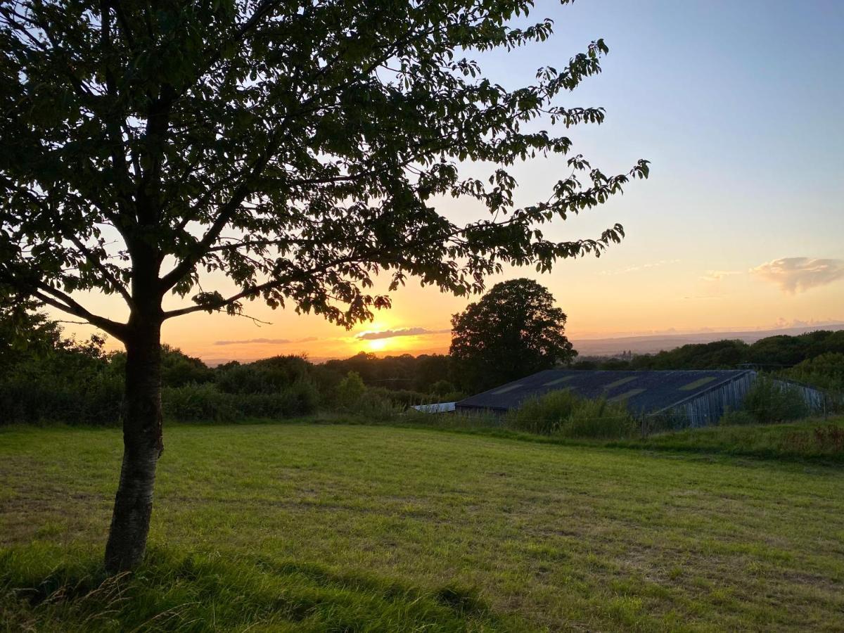 Campsite Cherry Tree Glamping *