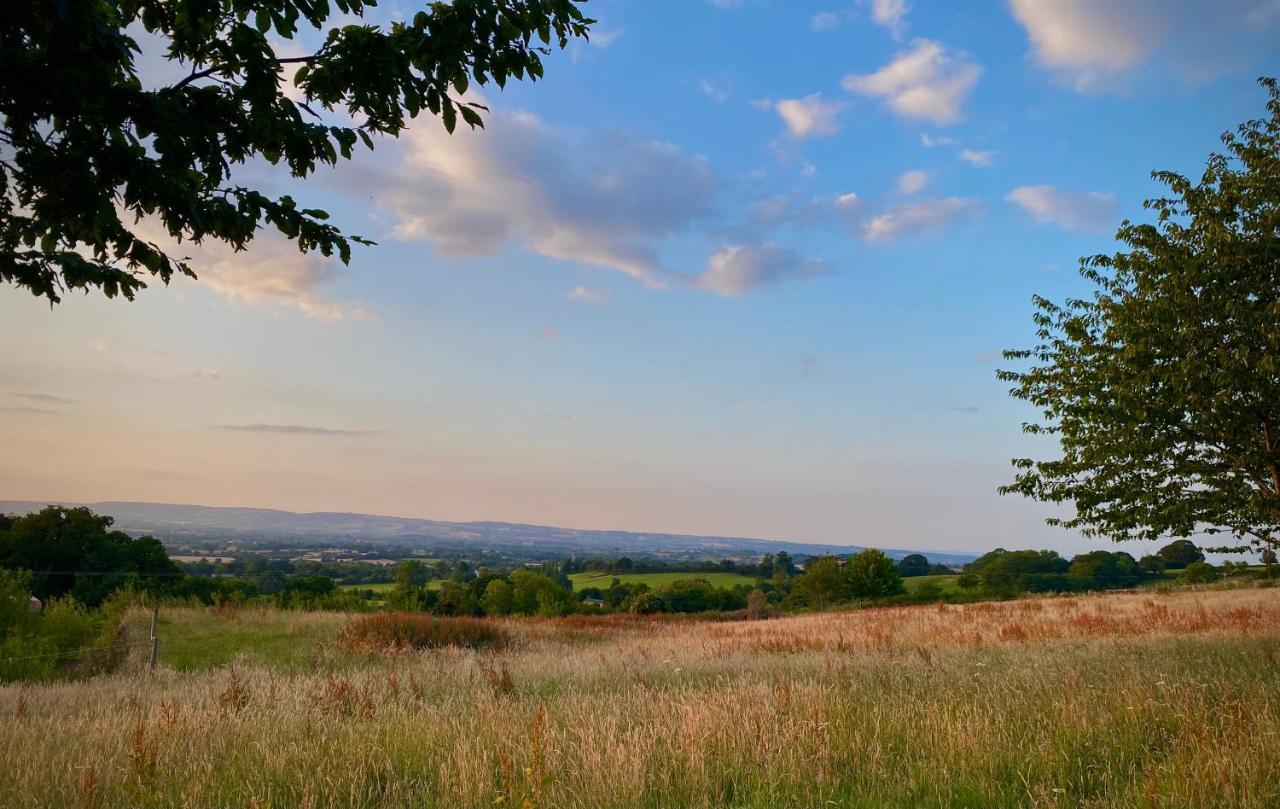 Cherry Tree Glamping Campsite Wellington (Somerset)