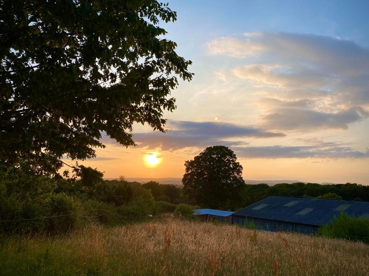 Cherry Tree Glamping Campsite *