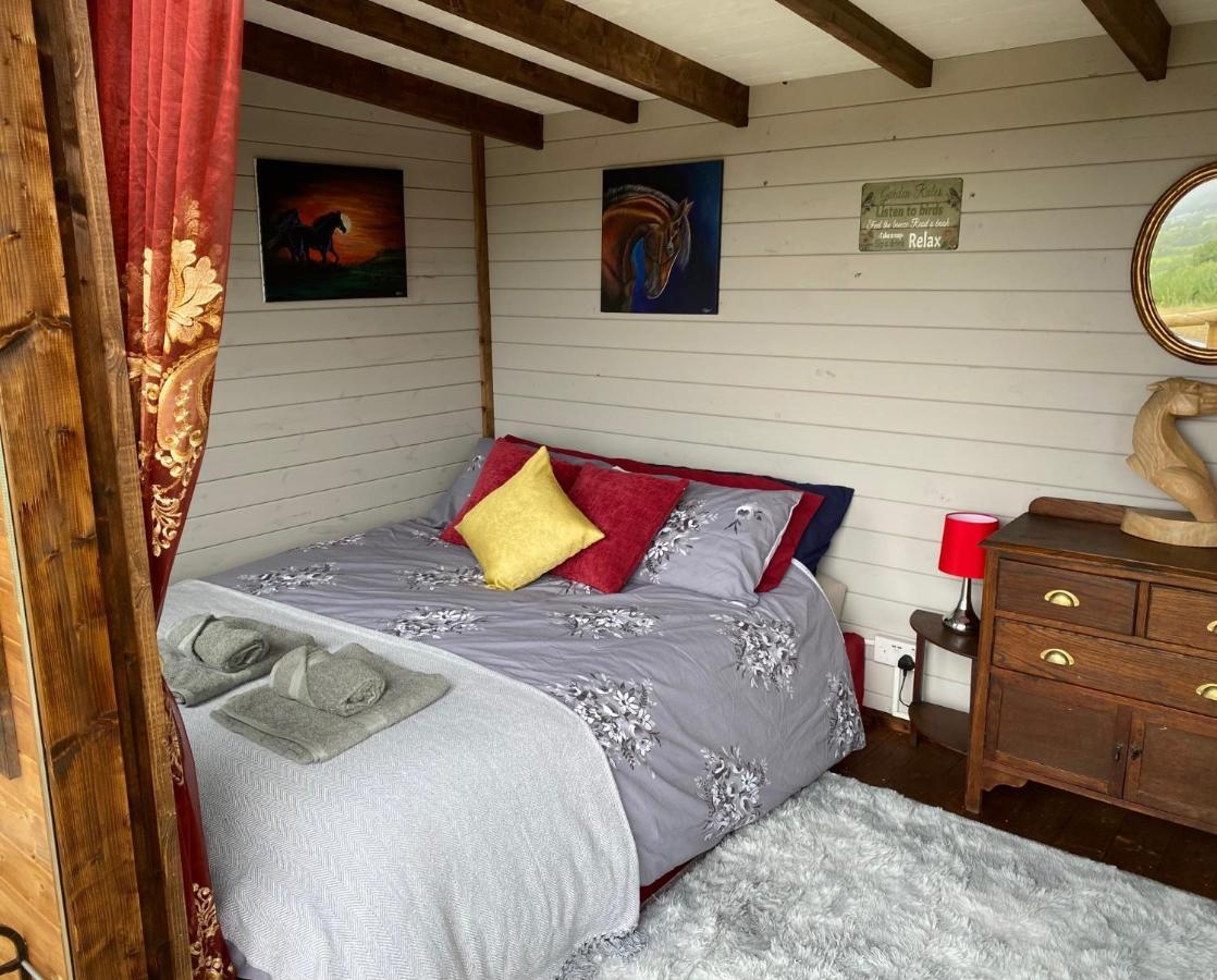 Campsite Cherry Tree Glamping Wellington (Somerset)