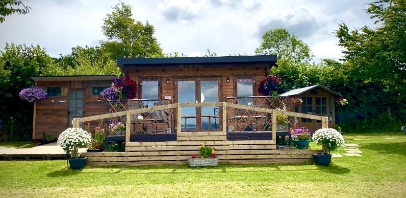Campsite Cherry Tree Glamping Wellington (Somerset)